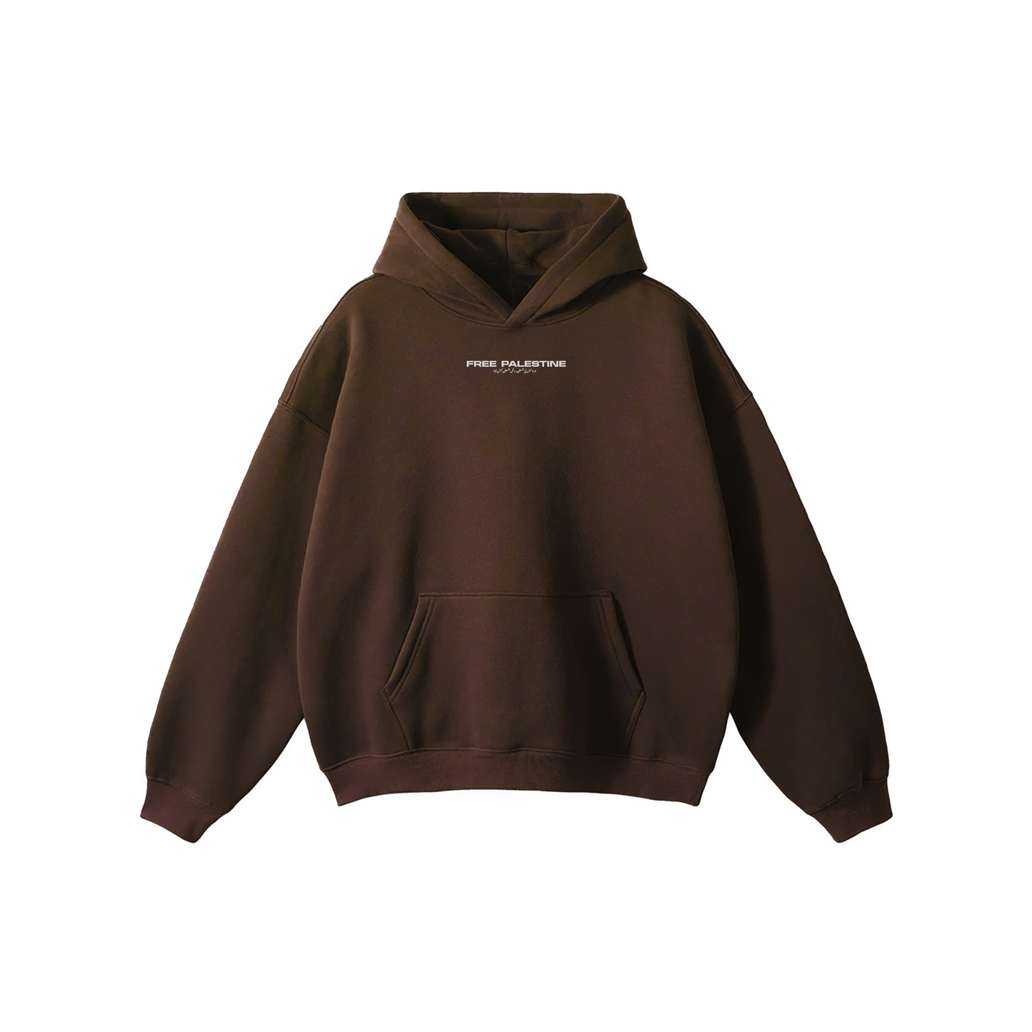 Palestine Graphic Hoodie